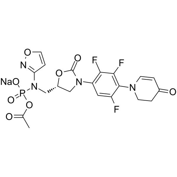 Contezolid acefosamil sodiumͼƬ