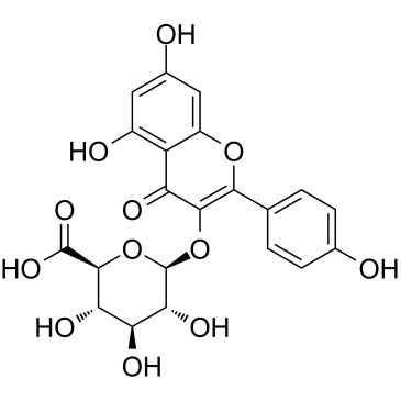 Kaempferol 3-O--D-glucuronideͼƬ