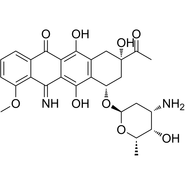 5-IminodaunorubicinͼƬ