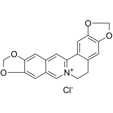 Pseudocoptisine chlorideͼƬ