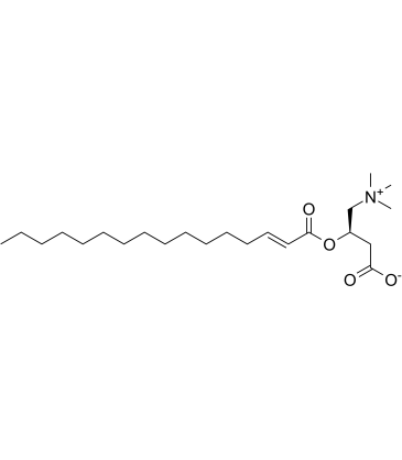 trans-2-Hexadecenoyl-L-carnitineͼƬ