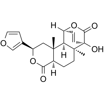 IsocolumbinͼƬ