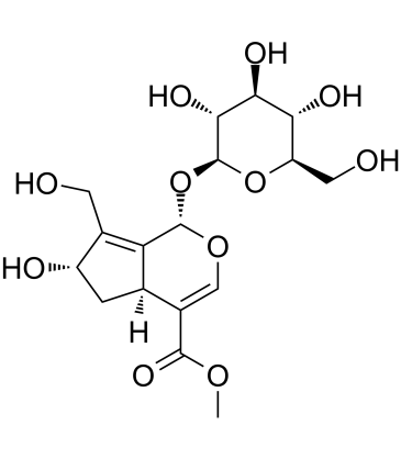 10-Hydroxy majorosideͼƬ