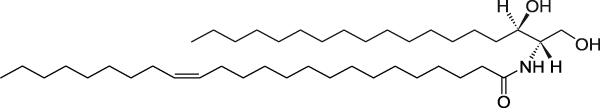 C24:1 Dihydroceramide(d18:0/24:1(15Z))ͼƬ