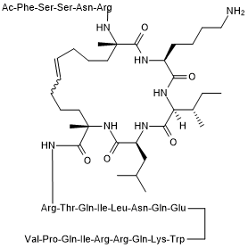 SAH-EZH2图片