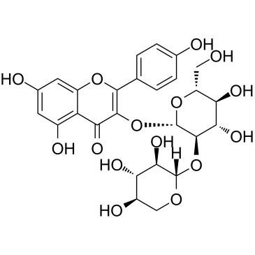 LeucosideͼƬ