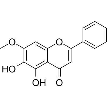 NegleteinͼƬ