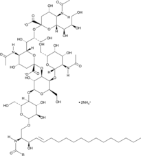 Ganglioside GD2 Mixture(ammonium salt)ͼƬ