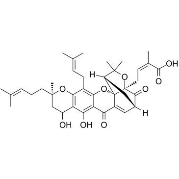 Neogambogic acidͼƬ