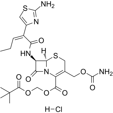 Cefcapene pivoxil hydrochlorideͼƬ