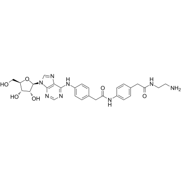 Adenosine amine congener图片