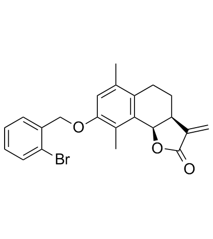 UbcH5c-IN-1ͼƬ