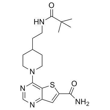 SIRT-IN-1ͼƬ