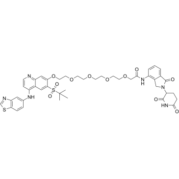 PROTAC RIPK degrader-6ͼƬ