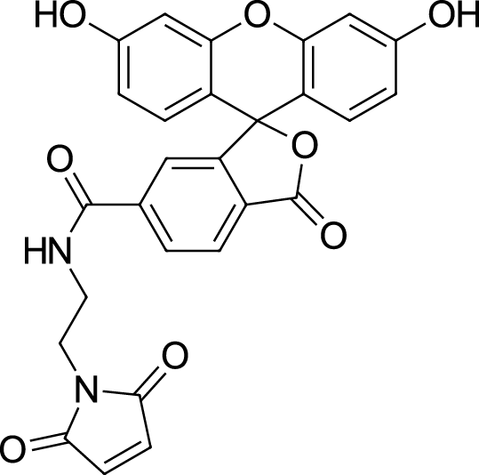 FAM maleimide,6-isomerͼƬ