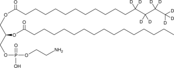 1-Palmitoyl-d9-2-Palmitoyl-sn-glycero-3-PEͼƬ