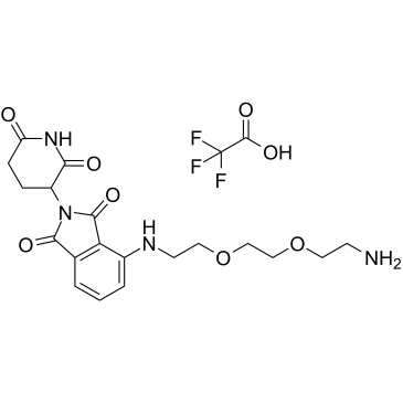 Thalidomide-NH-PEG2-C2-NH2 TFAͼƬ