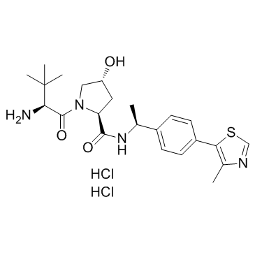 E3 ligase Ligand 1 dihydrochlorideͼƬ