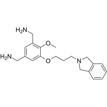 MS31ͼƬ