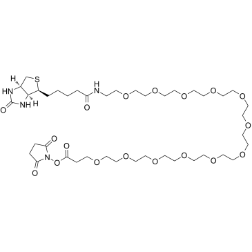 Biotin-PEG12-NHS esterͼƬ