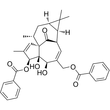 Ingenol 3,20-dibenzoateͼƬ