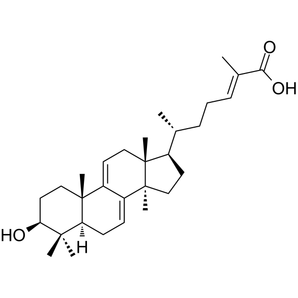 Ganoderic acid Y图片