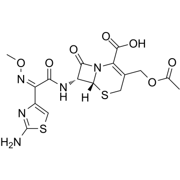 Cefotaxime图片