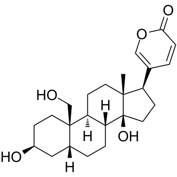 19-HydroxybufalinͼƬ