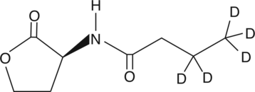 N-butyryl-L-Homoserine lactone-d5ͼƬ