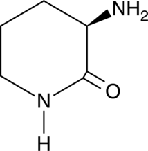 D-Ornithine lactamͼƬ