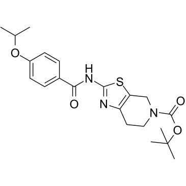 Autogramin-2ͼƬ