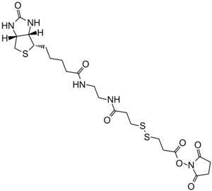 NHS-SS-BiotinͼƬ
