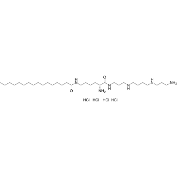 AMXT-1501 tetrahydrochlorideͼƬ