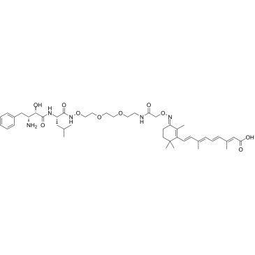 PROTAC CRABP-II Degrader-2ͼƬ