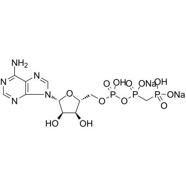 AMP-PCP disodiumͼƬ