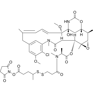 SPP-DM1ͼƬ