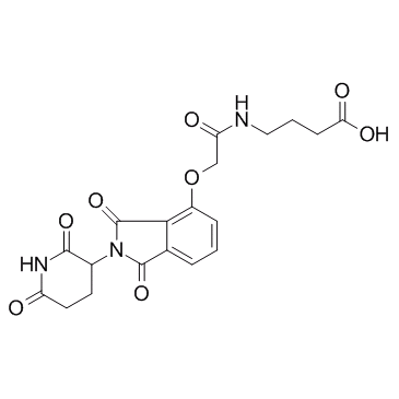 E3 ligase Ligand-Linker Conjugates 15ͼƬ