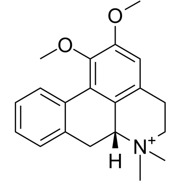 N-MethylnuciferineͼƬ