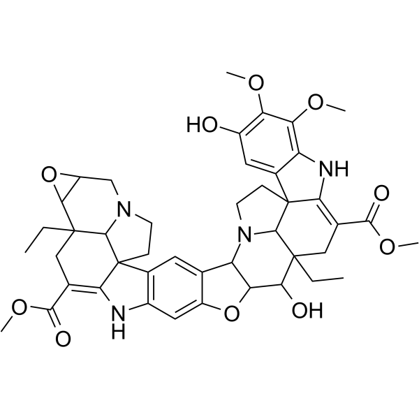 ConophyllineͼƬ