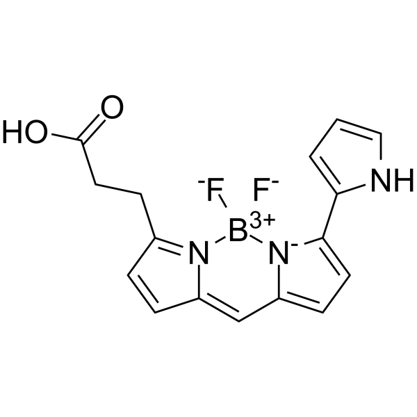 BODIPY 576/589ͼƬ