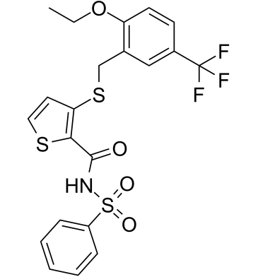 NAZ2329ͼƬ