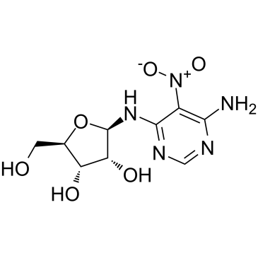 ClitocineͼƬ