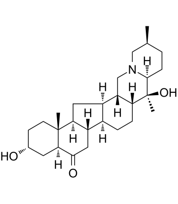 YubeinineͼƬ