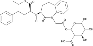 Benazepril Acyl--D-GlucuronideͼƬ