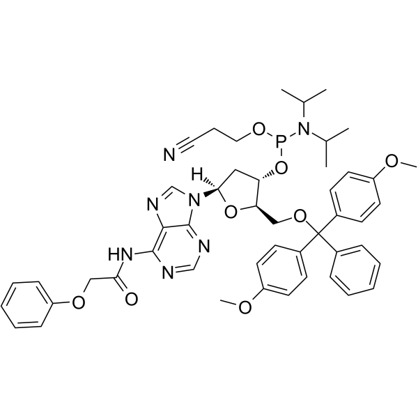 DMT-dA(PAc)PhosphoramiditeͼƬ