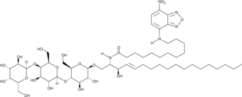 C12 NBD Globotriaosylceramide(C18:1/12:0)ͼƬ