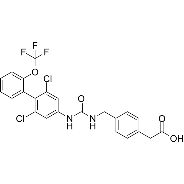 ROR&gammat inverse agonist 13ͼƬ