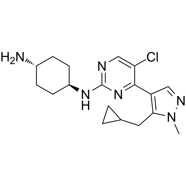 Casein Kinase inhibitor A51ͼƬ