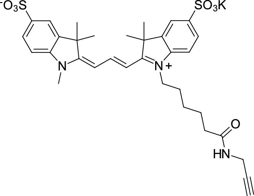 Sulfo-Cyanine3 alkyneͼƬ