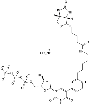 Biotin-11-dUTPͼƬ